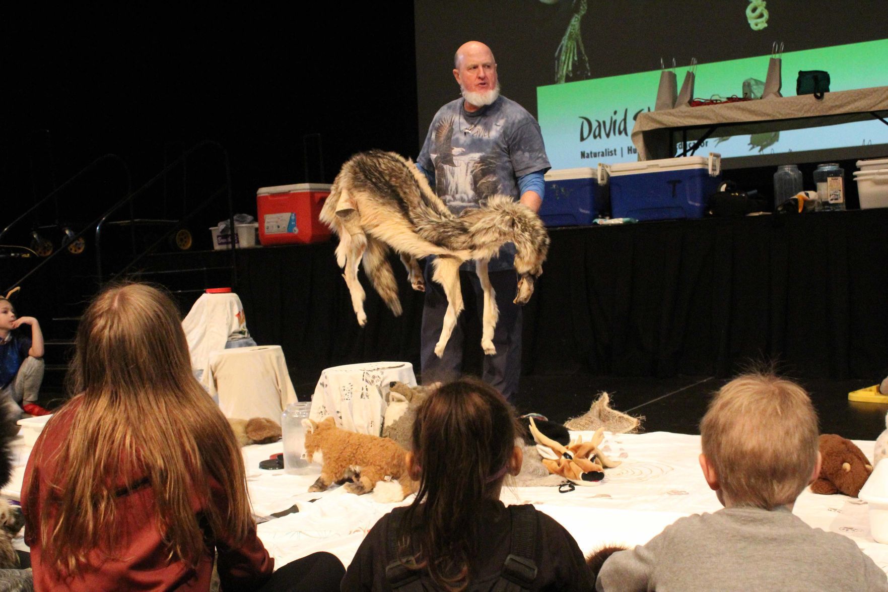 David shows wolf skin